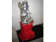 painted gearbox small.jpg